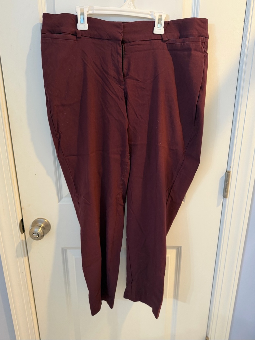 Lane Bryant Men's Dress Pants in Deep Burgundy